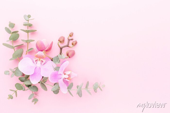 Zendesk Help Center home page